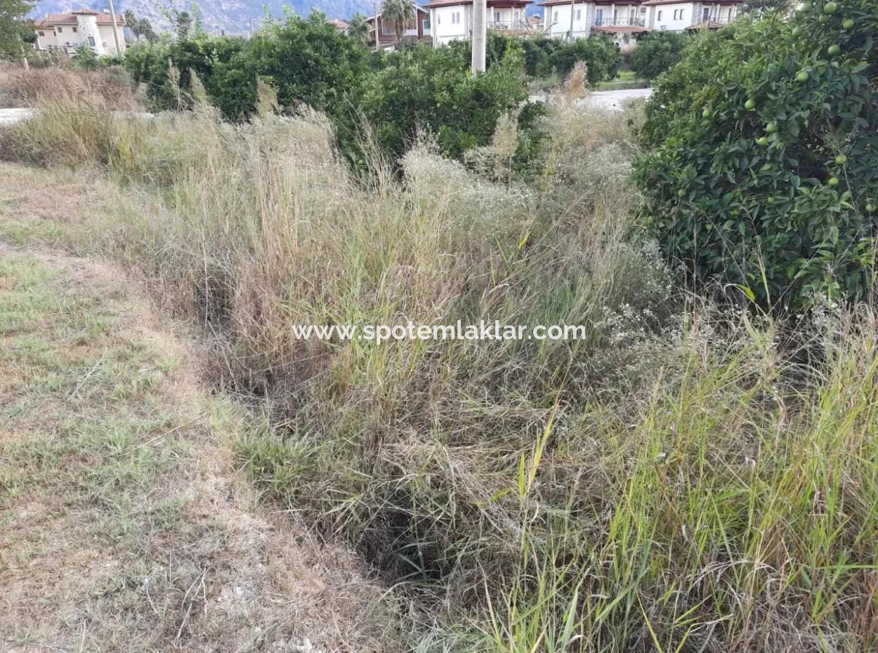 Mugla Dalyan Schnäppchen Zoning Land Zu Verkaufen