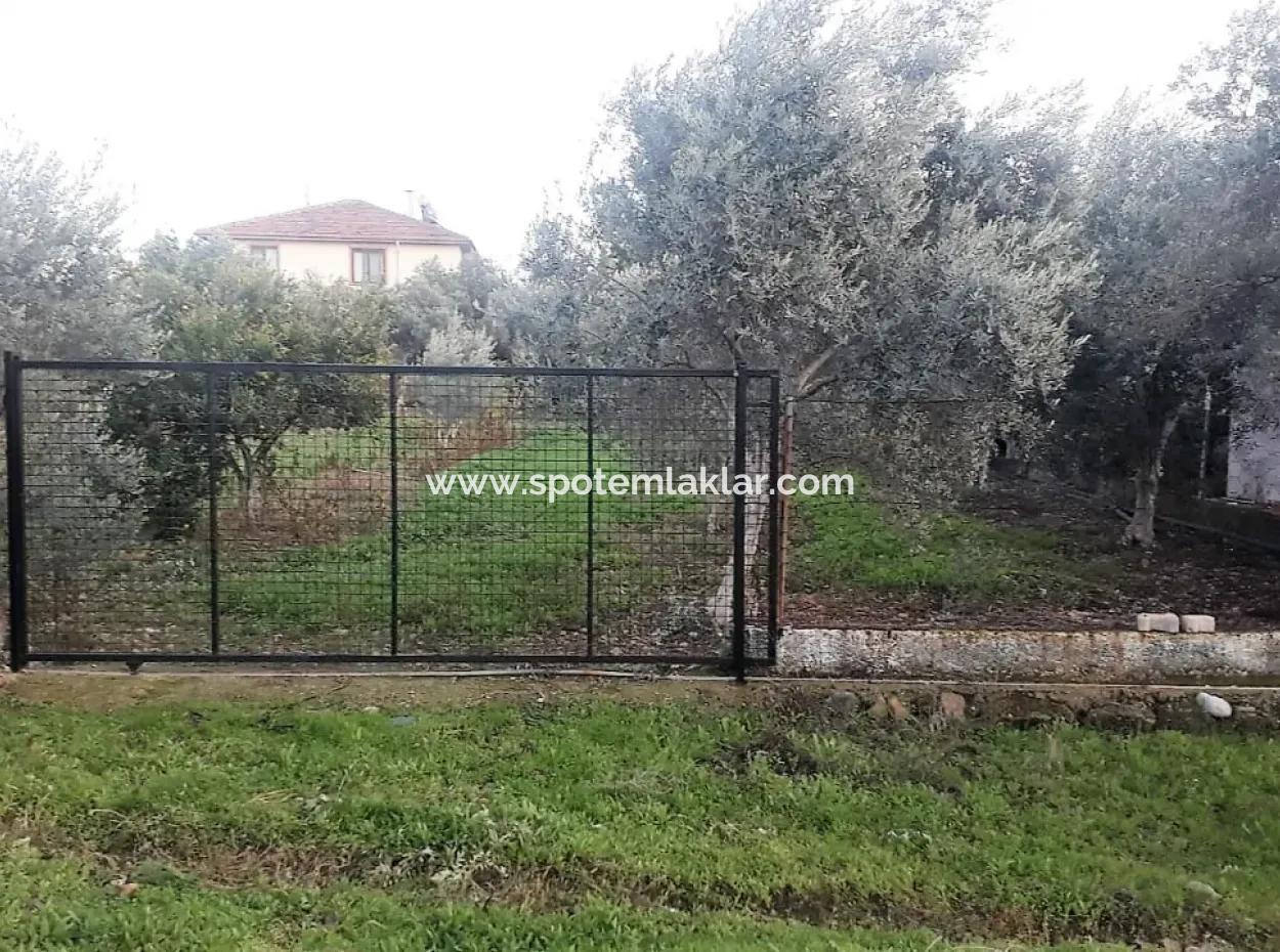 Zoning Grundstücke Mit Seeblick Zum Verkauf In Köycegiz Toparlar