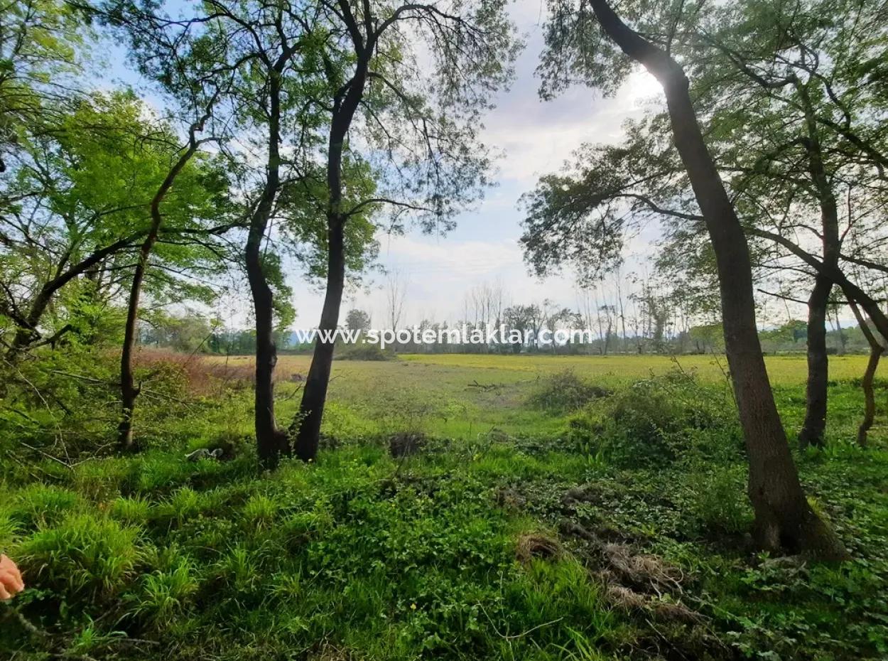 7668 M2 Schnäppchenland Mit Seeblick Zum Verkauf In Köyceiz Zeytinalani