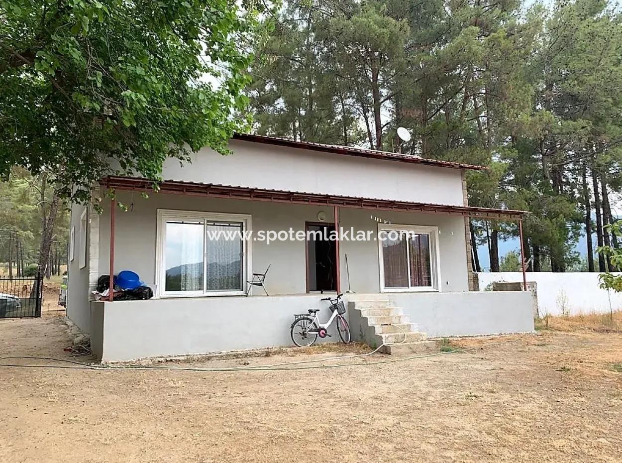 Teekante 10345 M2 Land Und Einfamilienhaus Zum Verkauf In Ortaca Cayli Pinienwald