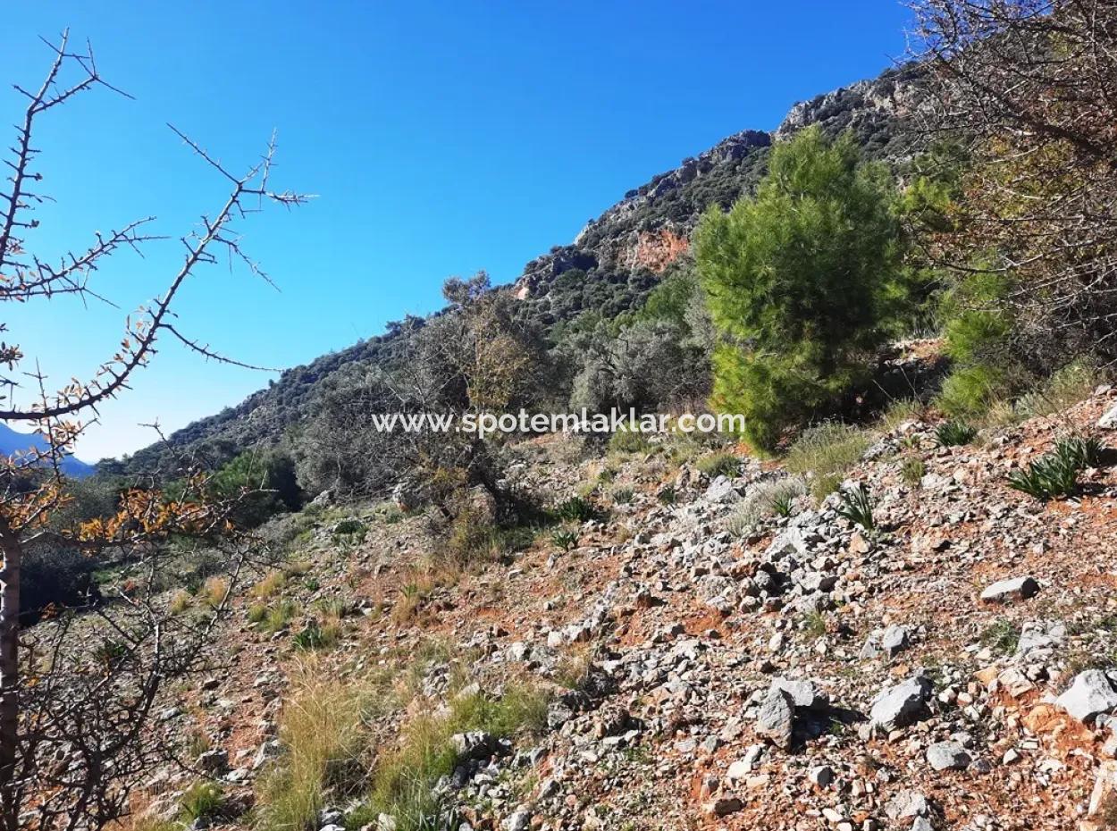 Muğla Ortaca Dalyan Gökbelde 3 100 M2 2B Eigentumsrecht Wird Übertragen