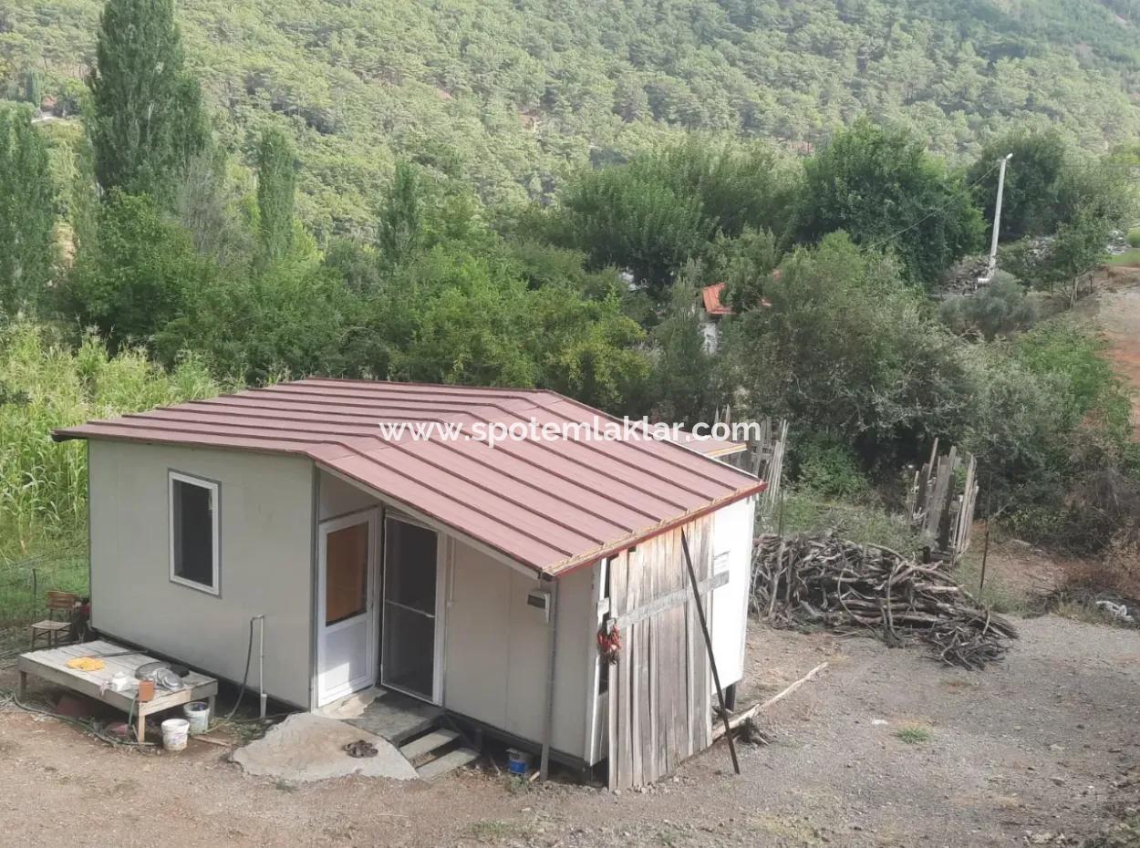 Muğla Köyceğiz Ağla - 535 M2 Grundstück Und Tiny House Haus Zum Verkauf Auf Dem Plateau