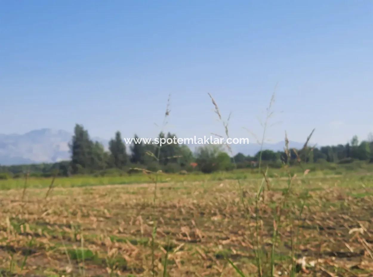 2 650 M2 Fruchtbares Land Zum Verkauf In Köyceğiz Poplar