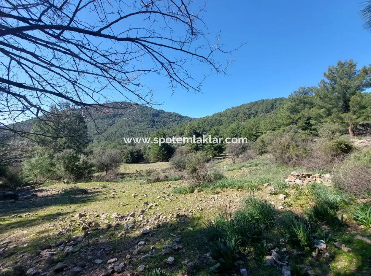 2 400 M2 Feld Zum Verkauf In Muğla Ortaca Gökbelde Natur