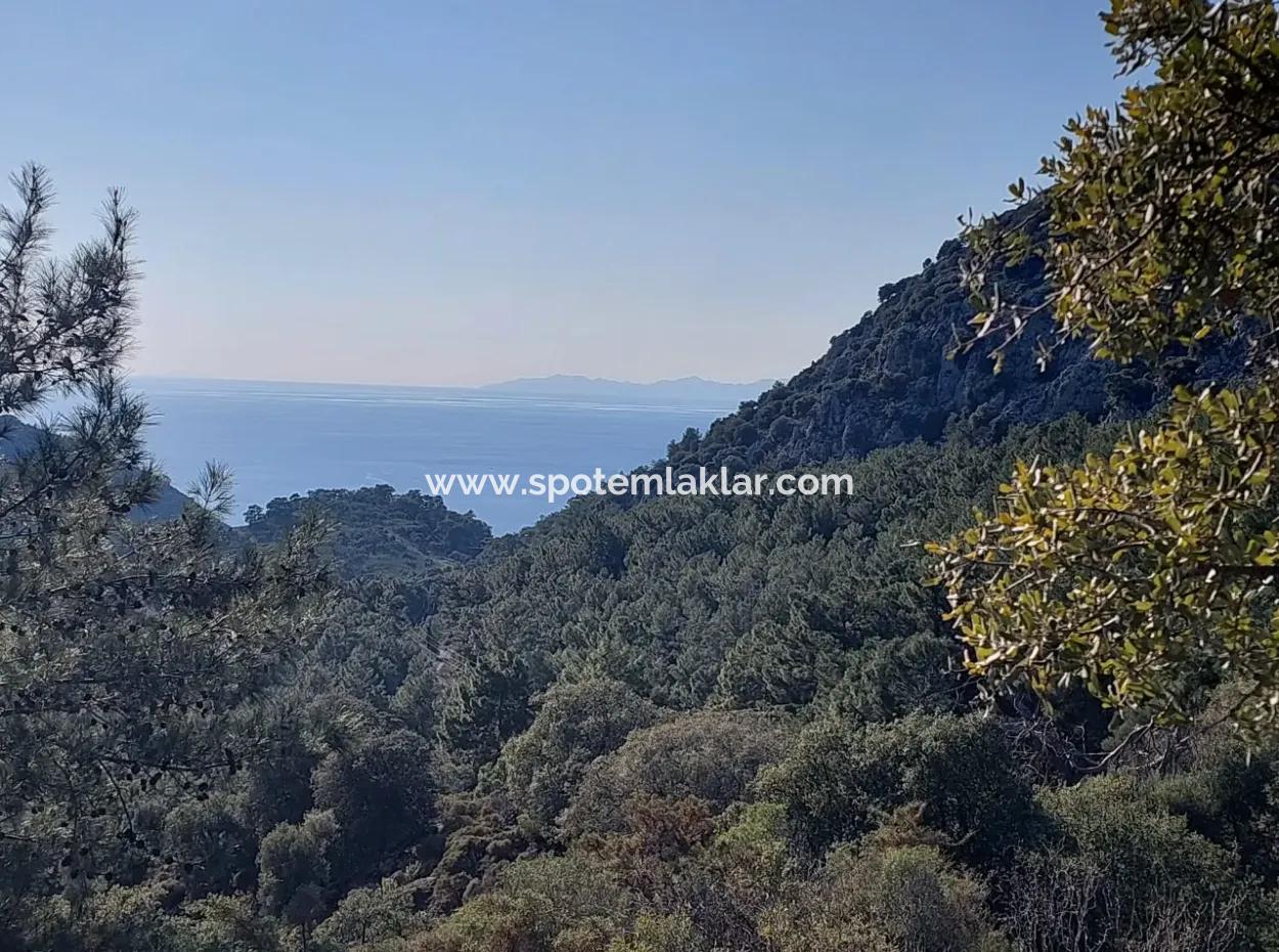 5.216 M2, 2B Grundstück Zum Verkauf In Ortaca Gökbelde Mit Freistehender Eigentumsurkunde Mit Meerblick