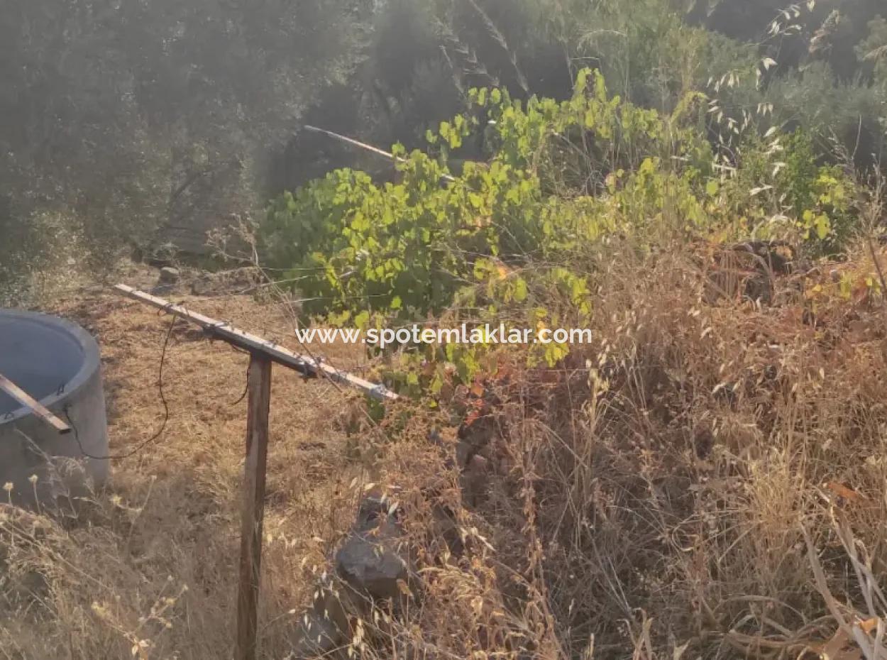 Muğla, Dalaman, Elcik 1 100 M2, Freistehendes Grundstück, 60 M2 Dorfhaus Zu Verkaufen