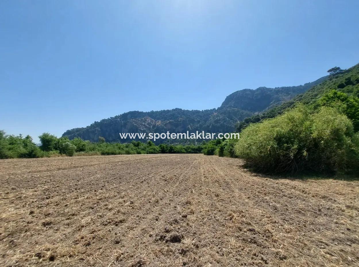 Schnäppchengrundstück Geeignet Für Investitionen In Einem 7.750 M2 Großen Bebauungsplan In Muğla Marmarlı Zum Verkauf