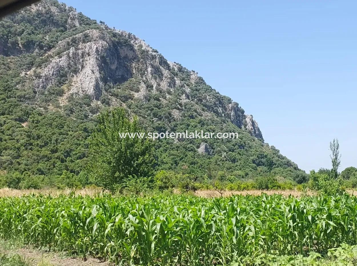 1 900 M2 In Dalyan Okçular Marmarlı, Grundstück Im Bebauungsplan Steht Zum Verkauf