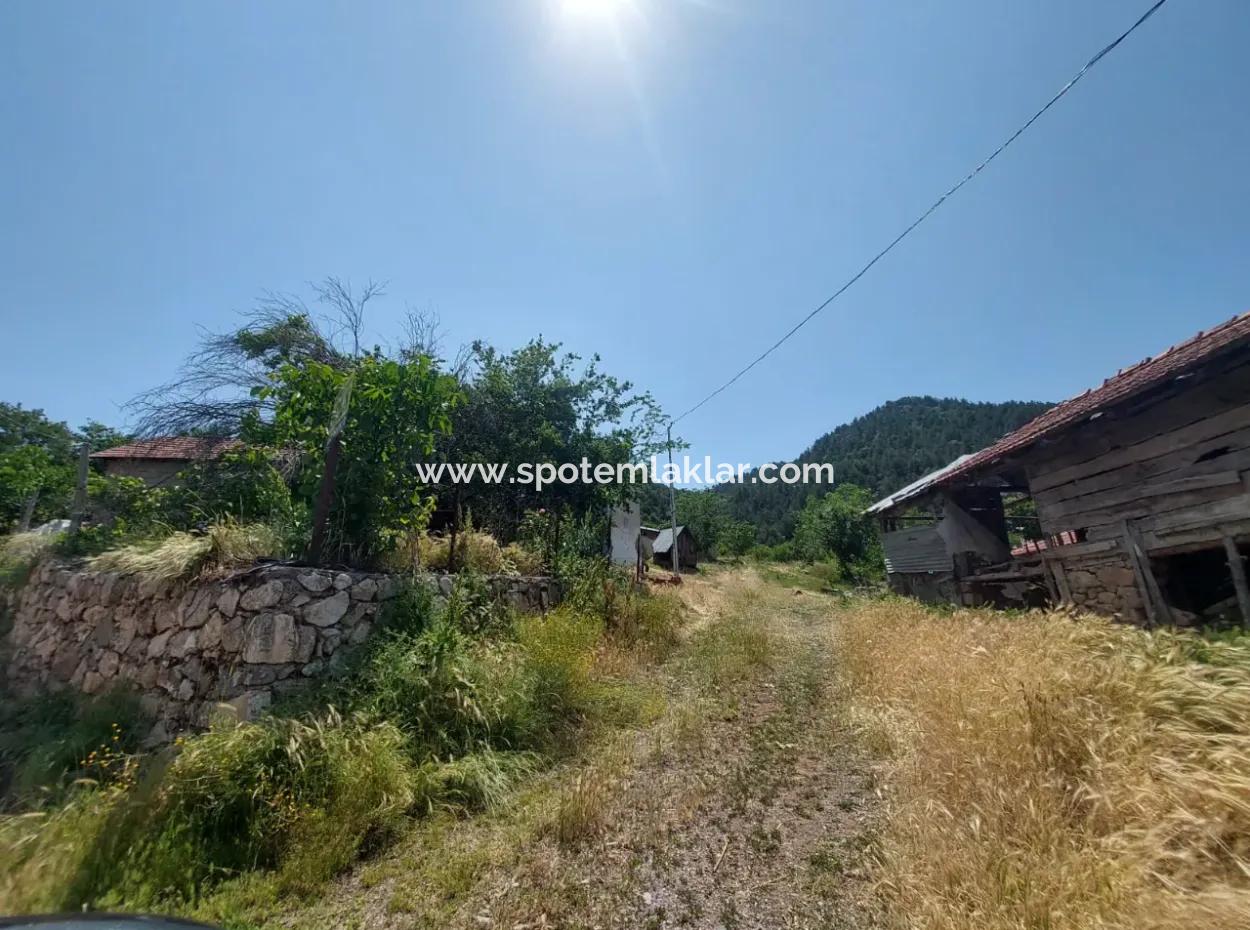2500 M2 Freistehende 2 Häuser Und Scheunen, Lager Zum Verkauf In Çameli Kızılyaka