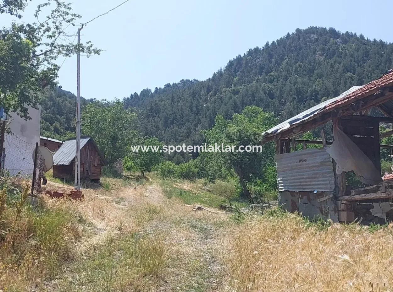 2500 M2 Freistehende 2 Häuser Und Scheunen, Lager Zum Verkauf In Çameli Kızılyaka