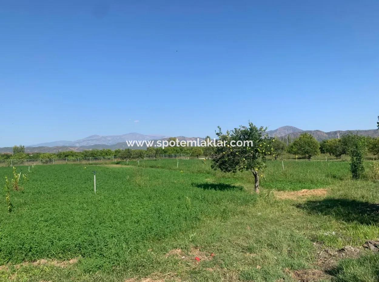 5400 M2 Fertiger Bauernhof Zum Verkauf In Ortaca Arıkbaşı
