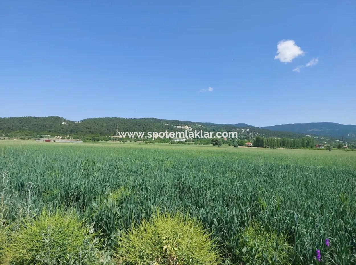 Zu Verkaufen In Denizli Çameli Kızılyaka 1500 M2 Freistehende Eigentumsurkunde Schnäppchenland