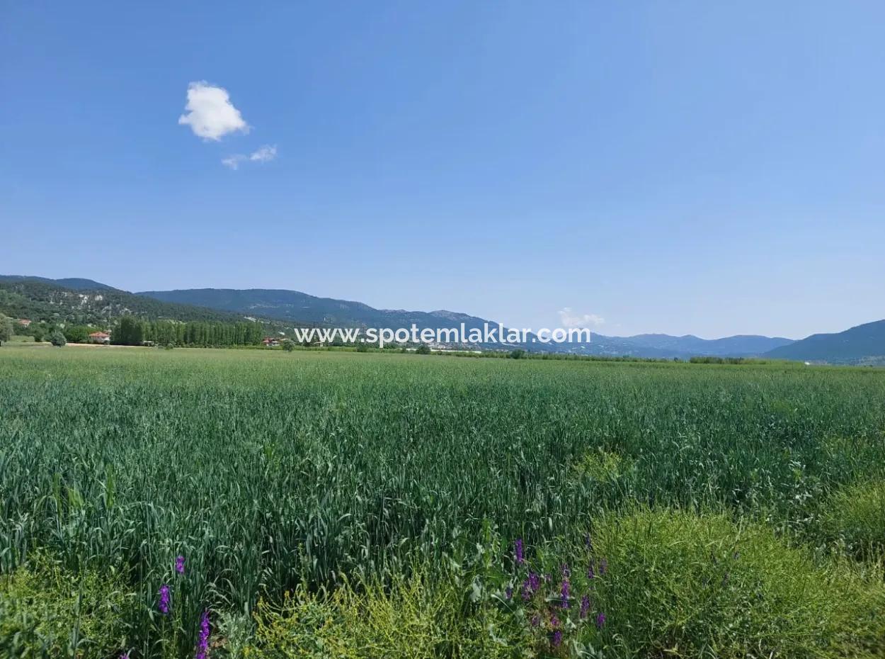 Zu Verkaufen In Denizli Çameli Kızılyaka 1500 M2 Freistehende Eigentumsurkunde Schnäppchenland