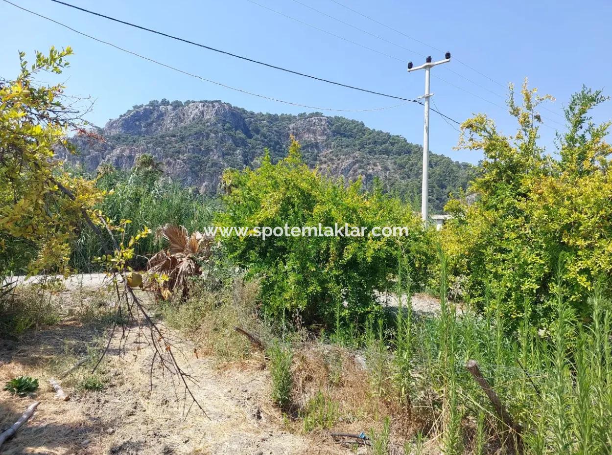 2.800 M² Grundstück Zum Verkauf In Dalyan, Muğla, In Der Nähe Des Dalyan-Kanals