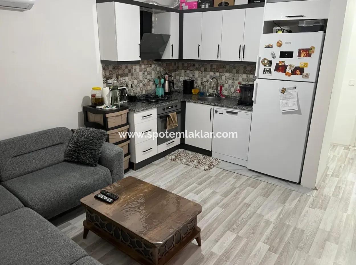 1 1 Wohnung Zu Verkaufen In Cumhuriyet