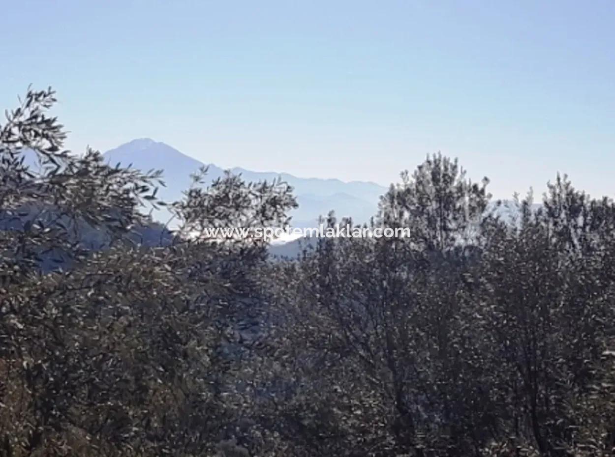 Meerblick Land Zum Verkauf In Göcek Gökçeovacık