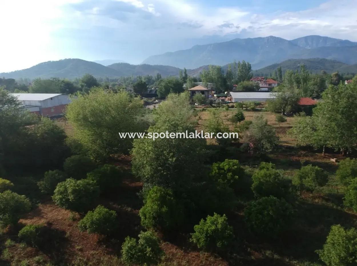 Land Zum Verkauf In Koycegiz, Grundstück Beyoba