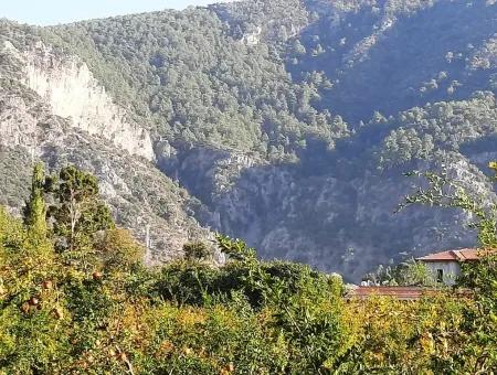 Grundstück Geeignet Für Investitionen Zum Verkauf In Mugla Dalyan Marmarlı