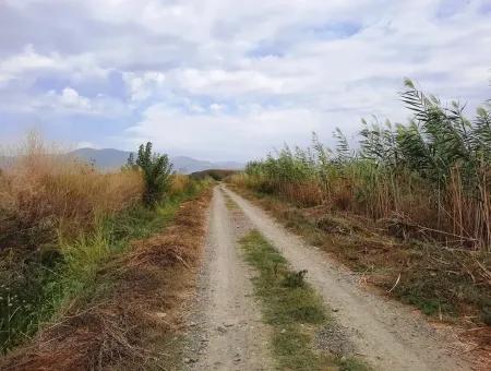 Fruchtbares Land Zu Verkaufen In Ortaca Eskiköy