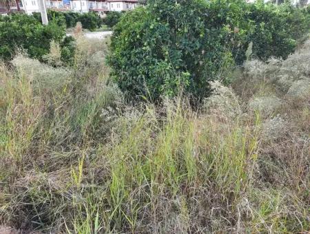 Mugla Dalyan Schnäppchen Zoning Land Zu Verkaufen