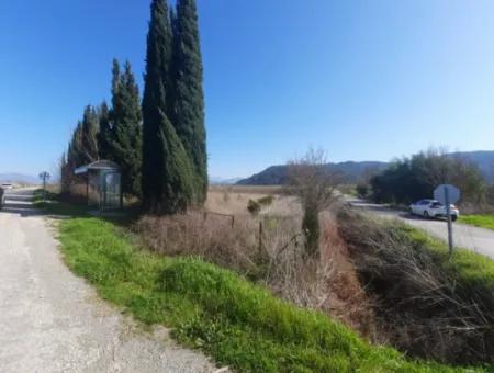 Mugla Ortaca Güzelyurt Sarégerme Straße Mit Blick Auf 2256 M2 Feld Zu Verkaufen