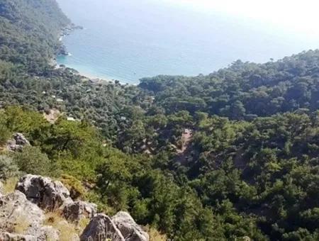 Grundstück Zum Verkauf In Fethiye Faralya Mit Aussicht Auf Das Meer, 6750 M2