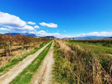 4830 M2 Land In Der Nähe Der Strandstraße Iztuzu Zum Verkauf In Mugla Dalyan