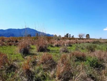 4830 M2 Land In Der Nähe Der Strandstraße Iztuzu Zum Verkauf In Mugla Dalyan