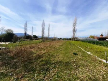 500 M2 Freistehendes Grundstück Zu Verkaufen In Ortaca Archers