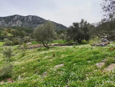 Freistehendes Dorfhaus In Der Natur Zu Verkaufen In Fethiye Gocek Ta'basi