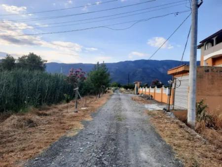 3500 M2 Orangen- Und Mandarinengarten Zum Verkauf In Köyceğiz Toparlar