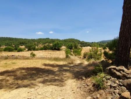 Mugla Menteşe Denizova 1869 M2 Schnäppchenfeld Zum Verkaufen