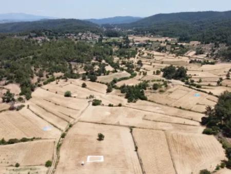 Mugla Menteşe Denizova 1869 M2 Schnäppchenfeld Zum Verkaufen