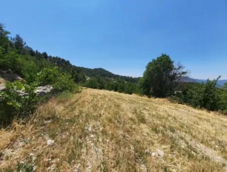 Denizli Çameli Gökçeyaka 2762 M2 Freistehendes Grundstück Zu Verkaufen