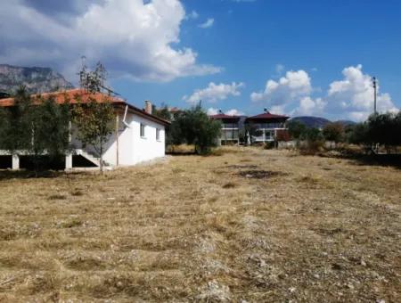 2 Einfamilienhäuser Zum Verkauf In 1992 M2 Grundstück Mit Blick Auf Den See In Köyceğiz Zeytinalanı