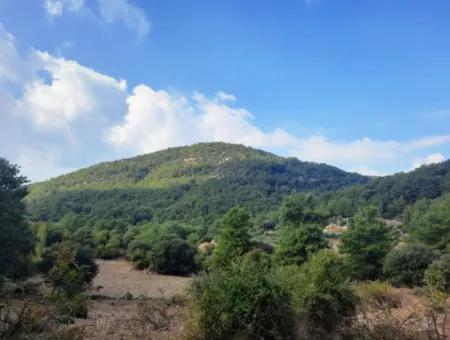 Mugla Dalyan Gökbel 320 M2 Schnäppchengrundstück Zum Verkauf