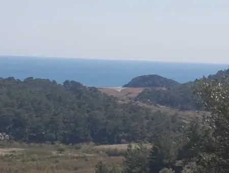 Grundstück Mit Meer Blick Zu Verkaufen Schnäppchen Ortaca Sarıgerme