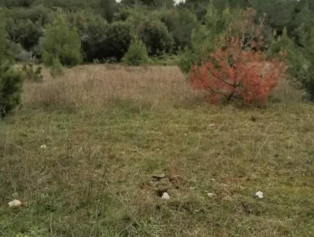 30949 M2 Fruchtbares Feld Zu Verkaufen In Mugla Dalaman Gürleyik