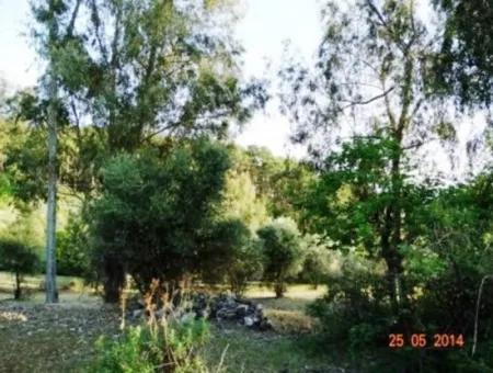 600 M2 Garten Mit Meerblick Zum Verkauf In Mugla Fethiye Eldirek