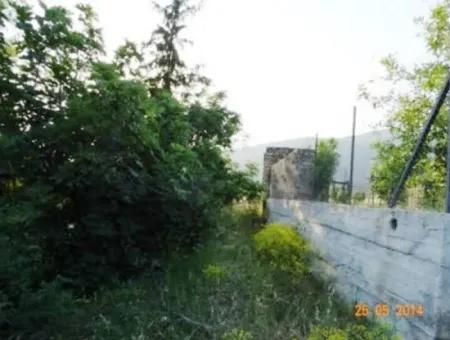 600 M2 Garten Mit Meerblick Zum Verkauf In Mugla Fethiye Eldirek