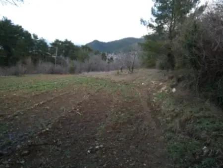 1985 M2 Grundstück Und Altes Dorfhaus Zum Verkauf In Fethiye Nif