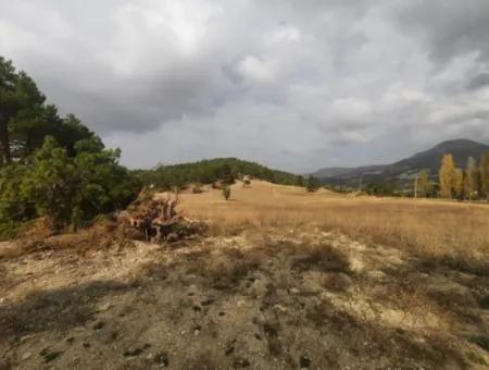 6 230 M2 Freistehendes Grundstück Zum Verkauf Oder Tausch An Der Alten Acıpayam-Straße In Çameli Cumanda