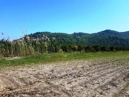 Region Des Fruchtbaren Landes Vermietung