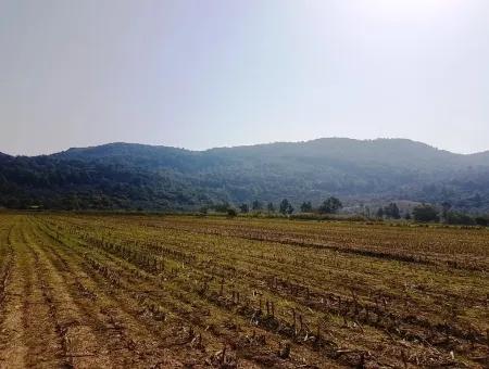 Region Des Fruchtbaren Landes Vermietung