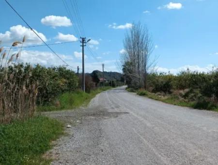 Muğla Ortaca Akıncı Mah Straßenrand 10.380 M2 Feld Zu Verkaufen