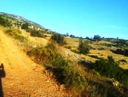 Grundstück Mit Meerblick Zum Verkauf In Boğaziçi Seydikemer