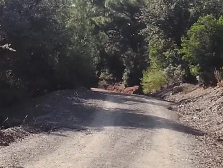 Muğla Dalyan Gökbelde 7 270 M2 Freistehende Eigentumsurkunde Land Mit Meer- Und Seeblick Zum Verkauf