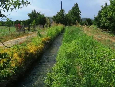 Bauernhof Zum Verkauf In Köyceğiz Beyoba Schnäppchen