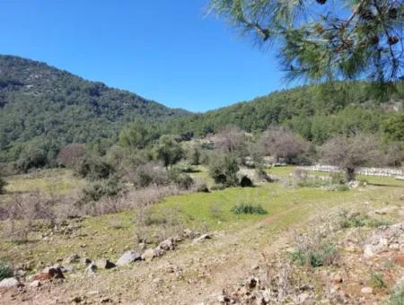 2 400 M2 Feld Zum Verkauf In Muğla Ortaca Gökbelde Natur