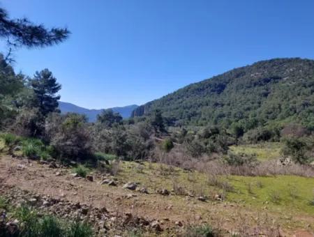 2 400 M2 Feld Zum Verkauf In Muğla Ortaca Gökbelde Natur